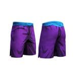 Short Boxe Thai Dbz